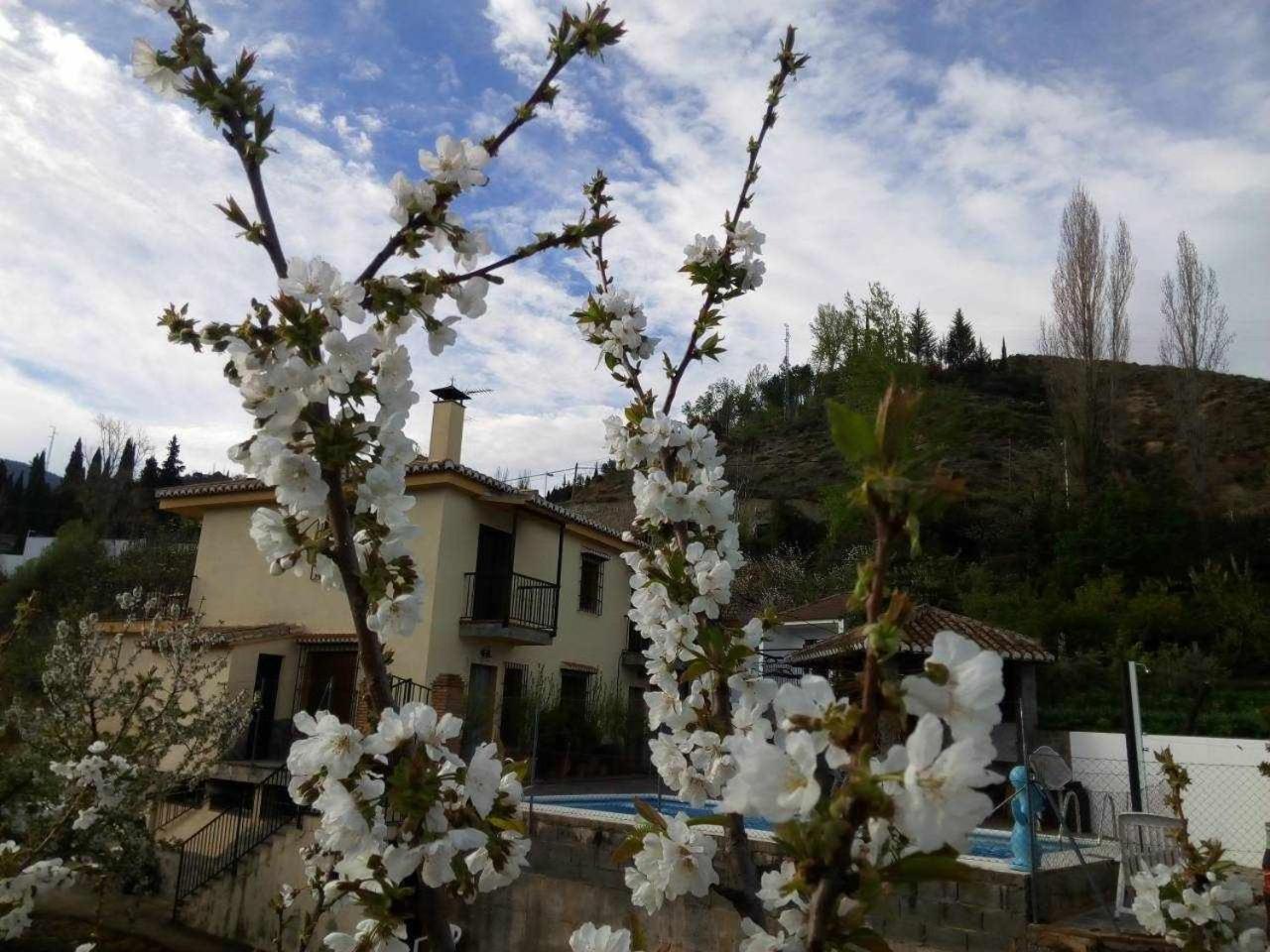 Casa Rural Las Huertas De Roque Monachil Zimmer foto